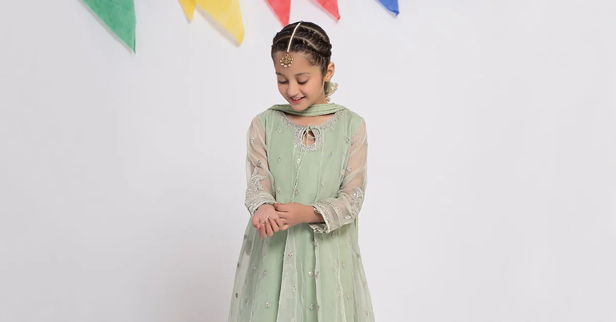 3 Piece Embroidered Organza Suit | MKS-EF24-15