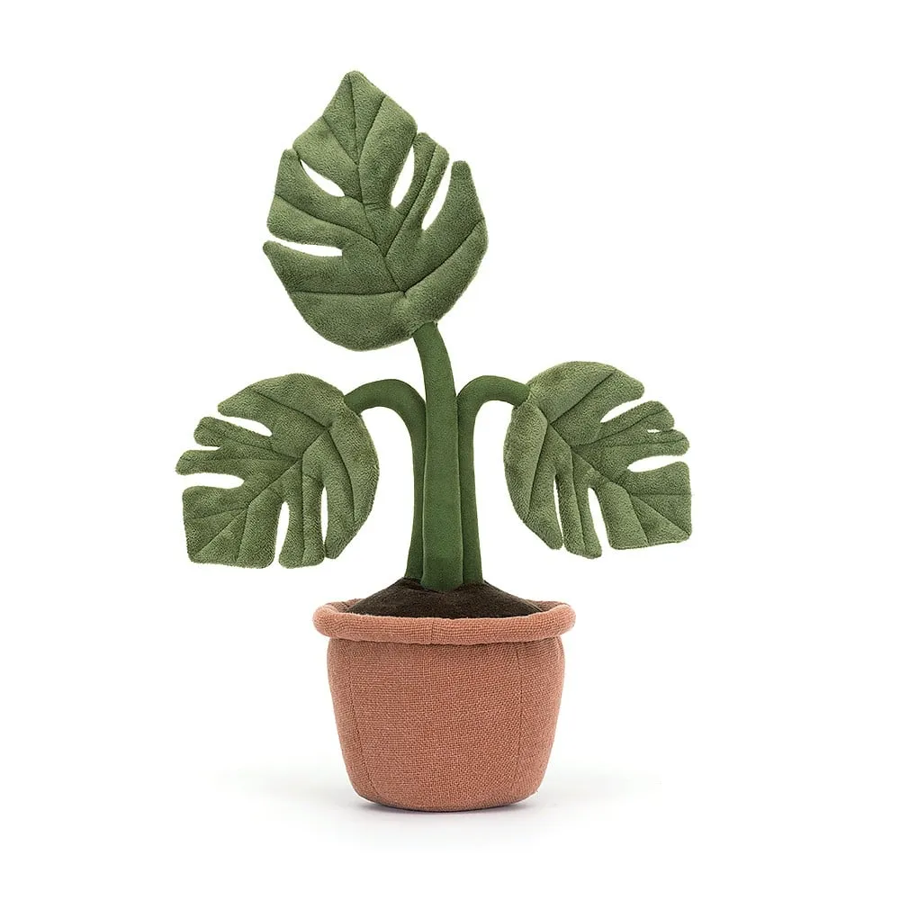 A2RUB Amuseable Monstera Plant