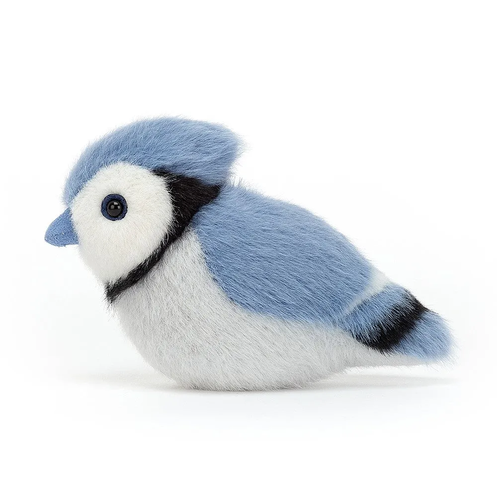 BIR6BLJ Birdling Blue Jay