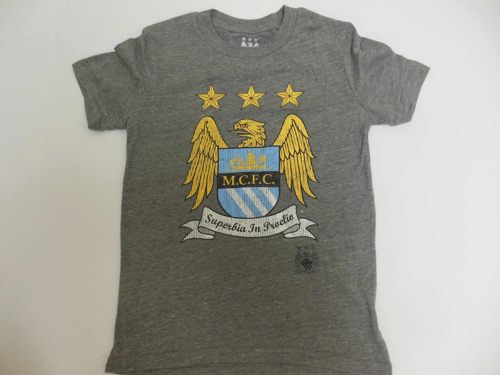 Manchester City Football Club M.C.F. C.  BPL Youth Gray Performance Adidas T-Shirt